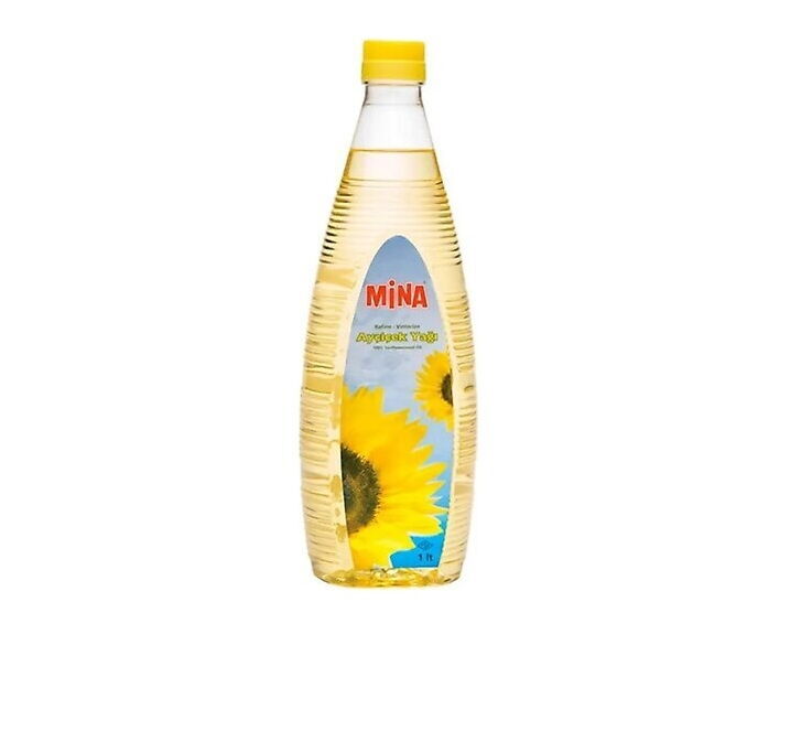MINA AYCICEK 1 LT